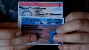 Buy Drivers License